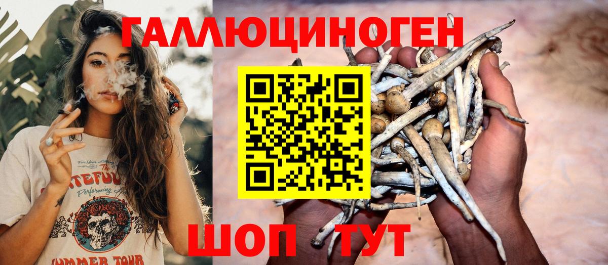 Галлюциногенные грибы прущие грибы  Вход с VPN  Среднеуральск 